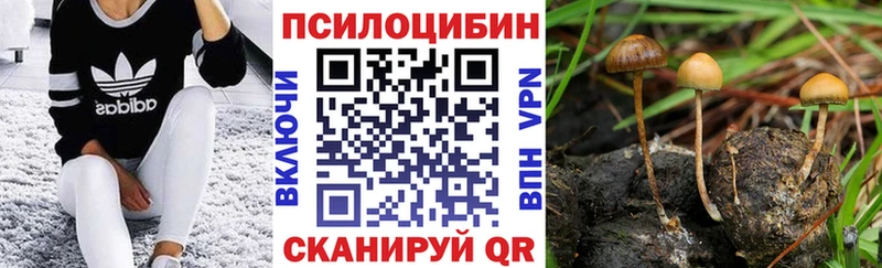 omg как войти  даркнет сайт  Алдан  Галлюциногенные грибы мицелий 